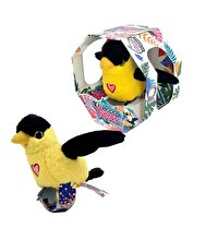 Happy Yappers Slap Bant Konuşan ve Taklit Eden Oriolus Papağan