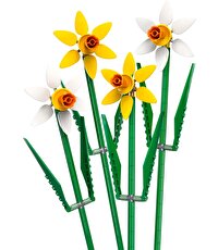 LEGO Iconic Nergis 40747