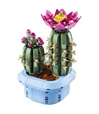 LEGO Botanicals Çiçekli Kaktüs 11509