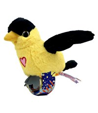 Happy Yappers Slap Bant Konuşan ve Taklit Eden Oriolus Papağan