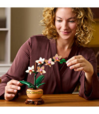 LEGO Botanicals Mini Orkide 10343