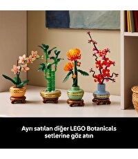 LEGO Botanicals Mini Orkide 10343