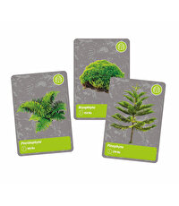 Clementoni Bilim ve Oyun: Dünyada Yaşamın Tarihi