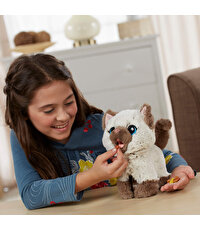 Fur Real Afacan Kedicik