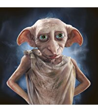 Harry Potter Hafıza Oyunu