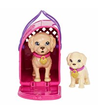 Barbie ve Köpekçikleri Oyun Seti HKD86
