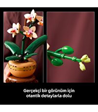 LEGO Botanicals Mini Orkide 10343