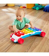 Fisher Price Işıklı Dev Ksilofon