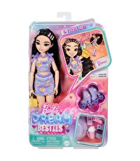 Barbie Dream Besties Paten Partisi Renee Bebek ve Aksesuarlar JFX99