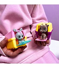 House Pets Evcil Hayvanlar Sürpriz Paket