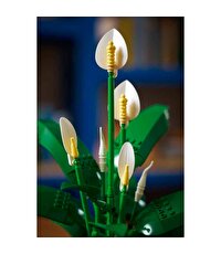 LEGO Botanicals Barış Çiçeği 11504