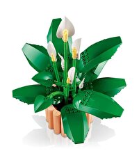 LEGO Botanicals Barış Çiçeği 11504