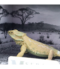 Animal World Sürüngen Serisi