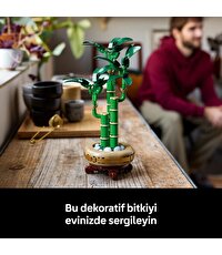 LEGO Botanicals Şans Bambusu 10344