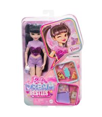 Barbie Dream Besties Renee Bebek ve Aksesuarları HYC24
