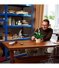 LEGO Botanicals Barış Çiçeği 11504