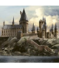 Harry Potter Hafıza Oyunu