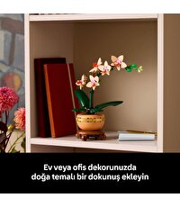 LEGO Botanicals Mini Orkide 10343