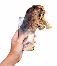 Clementoni Bilim ve Oyun: Dünyada Yaşamın Tarihi