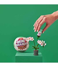 Mini Botanik Bahçe Sürpriz Paket