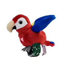Happy Yappers Slap Bant Kırmızı Konuşan ve Taklit Eden Papağan