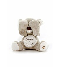 Ce Ee Oyuncu Dostum Ayıcık