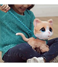 Yürüyen Dostlarım Açık Kahverengi Kedi F1988