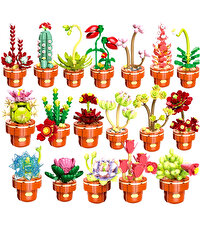 Mega Bitki Çiçekleri Kaktüs 181 Parça