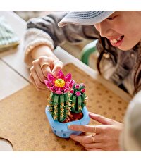 LEGO Botanicals Çiçekli Kaktüs 11509