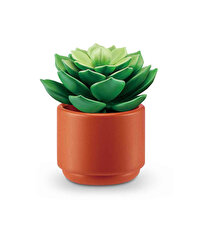 Mini Botanik Bahçe Sürpriz Paket