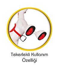 Pilsan Sallanan Şanslı At