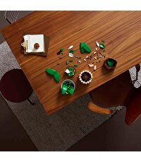 LEGO Botanicals Barış Çiçeği 11504