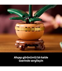 LEGO Botanicals Mini Orkide 10343