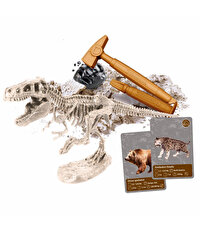 Clementoni Bilim ve Oyun: Dünyada Yaşamın Tarihi