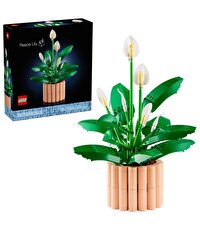 LEGO Botanicals Barış Çiçeği 11504