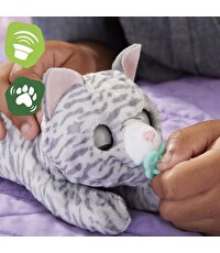 Yenidoğan Minik Dostum Kedicik F4087