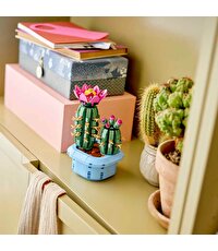 LEGO Botanicals Çiçekli Kaktüs 11509