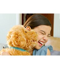 MFF Sevimli Labrador Moji Türkçe 18207