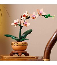 LEGO Botanicals Mini Orkide 10343