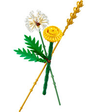 LEGO Botanicals Tarla Çiçekleri 30701
