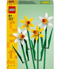 LEGO Iconic Nergis 40747
