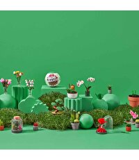 Mini Botanik Bahçe Sürpriz Paket