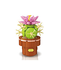 Mega Bitki Çiçekleri Kaktüs 181 Parça