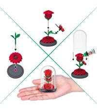 Mini Botanik Bahçe Sürpriz Paket