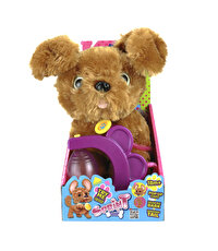 Sevimli Koşu Arkadaşım Golden