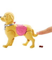 Barbie ve Tuvalet Eğitimindeki Köpeği DWJ68