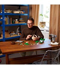 LEGO Botanicals Barış Çiçeği 11504