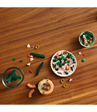 LEGO Botanicals Mini Orkide 10343