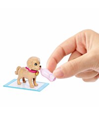 Barbie ve Köpekçikleri Oyun Seti HKD86