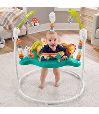 Fisher Price Sevimli Leopar Jumperoo Aktivite Merkezi HND47